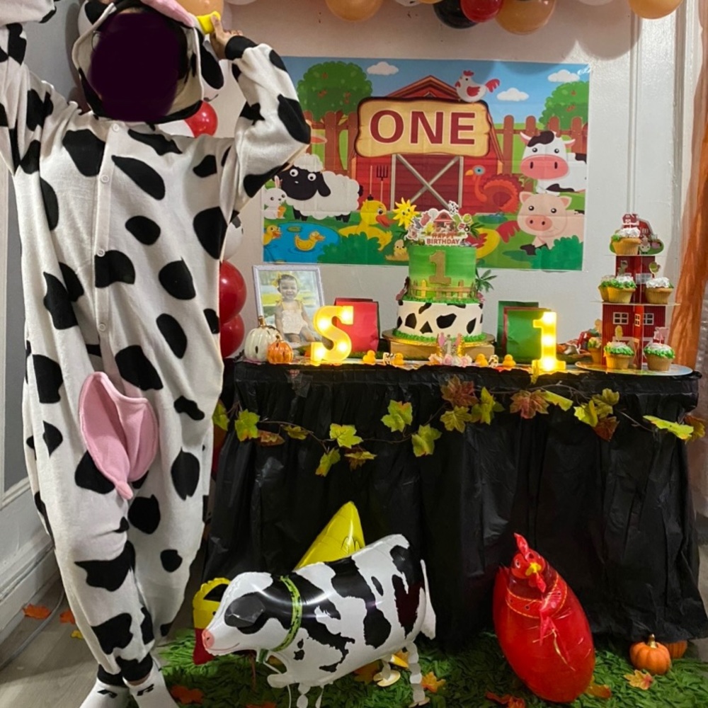 Set of Farm animals theme birthday decorations‼️